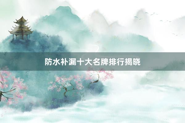 防水补漏十大名牌排行揭晓