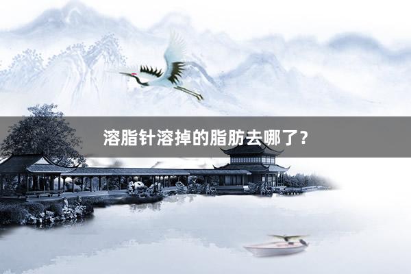 溶脂针溶掉的脂肪去哪了？